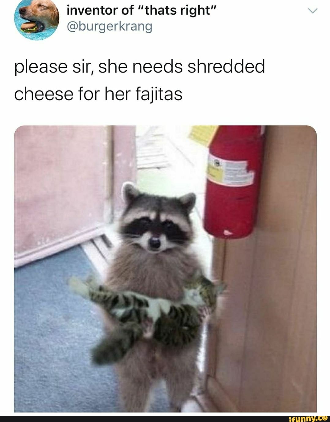 inventor of "thats right" v
@burgerkrang
please sir, she needs shredded
cheese for her fajitas