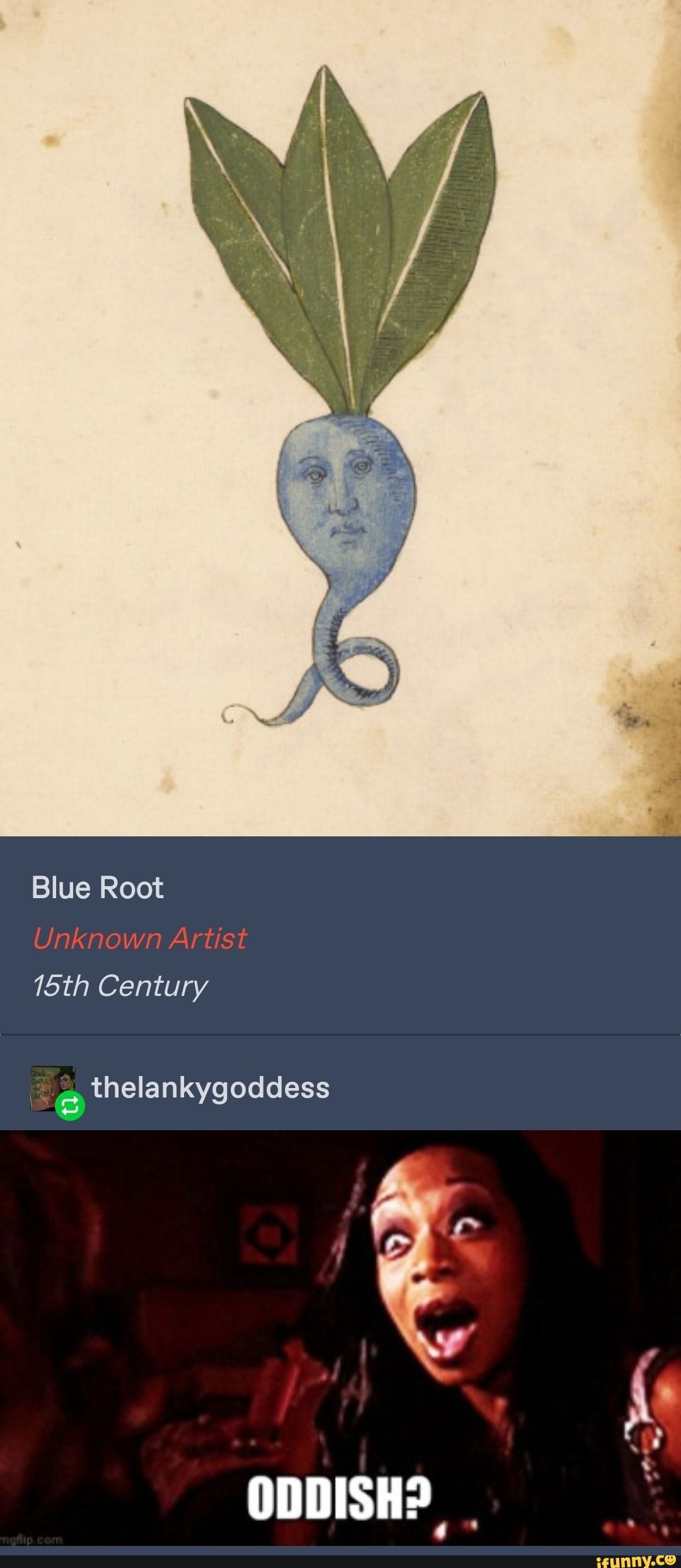 Thelankygoddess memes. Best Collection of funny Thelankygoddess pictures on  iFunny, image size:1080x2486