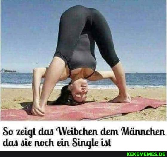 So zeigt das Weibchen dem Männchen
das sie noch ein Single ist