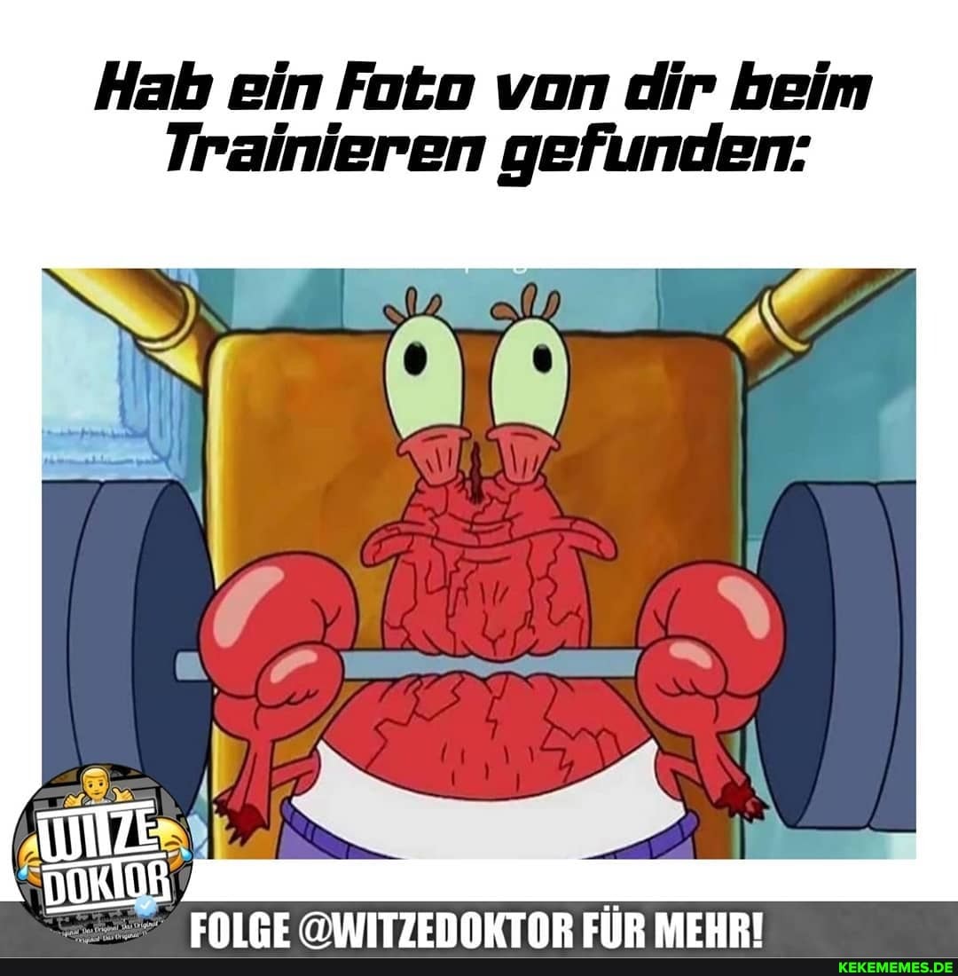 Hab ein Fobo von dir beim
Trainieren gefunden:
ENIFE EIIR MEHRI