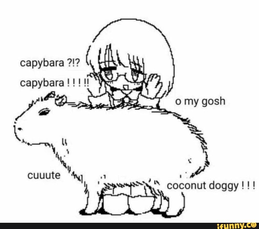 Okay I pull up capybara meme