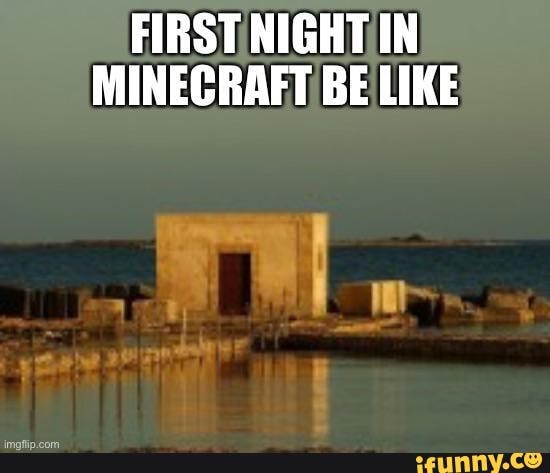 FIRST NIGHT IN MINECRAFT BE LIKE