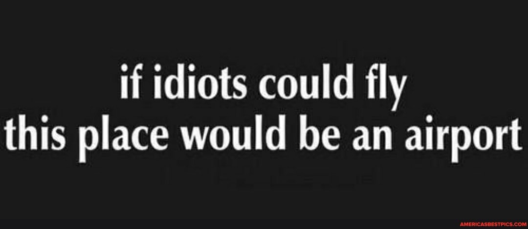 if idiots could fly this place would be an airport