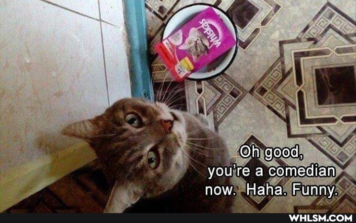 Oh good.
you're a comedian now. Haha. Funny.