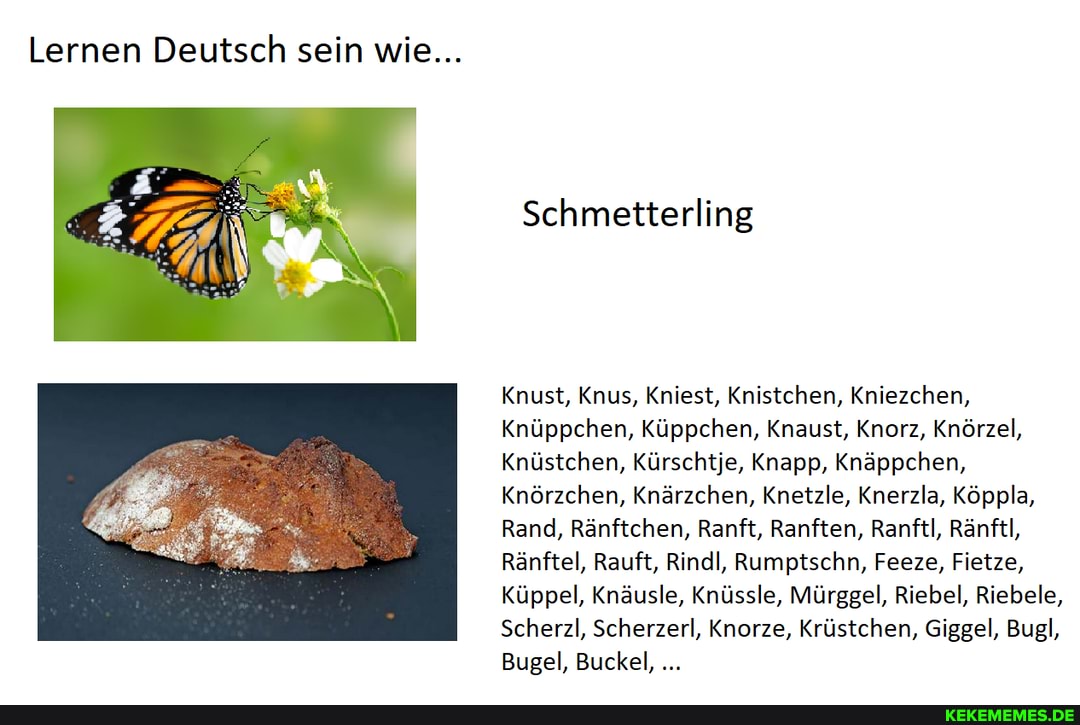 Lernen Deutsch sein wie...
Schmetterling
Knust, Knus, Kniest, Knistchen, Kniezchen,
Knüppchen, Küppchen, Knaust, Knorz, Knörzel,
Knüstchen, Kürschtje, Knapp, Knäppchen,
Knörzchen, Knärzchen, Knetzle, Knerzla, Köppla,
Rand, Ränftchen, Ranft, Ranften, Ranftl, Ränftl,
Ränftel, Rauft, Rind, Rumptschn, Feeze, Fietze,
Küppel, Knäusle, Knüssle, Mürggel, Riebel, Riebele,
Scherzl, Scherzerl, Knorze, Krüstchen, Giggel, Bugl,
Bugel, Buckel,