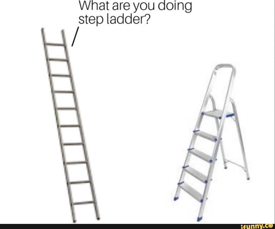 Wnat Are You Doing Step Ladder Ifunny
