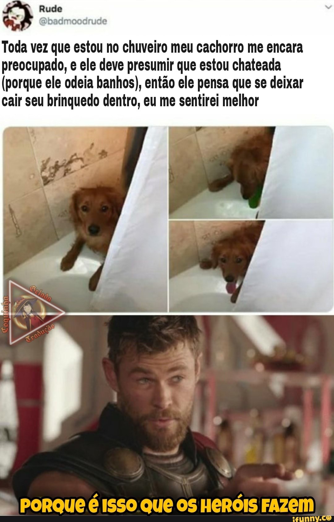 Rude
Toda vez que estou no chuveiro meu cachorro me encara preocupado, e ele deve presumir que estou chateada
(porque ele odeia banhos), então ele pensa que se deixar cair seu brinquedo dentro, eu me sentirei melhor
PORQUE ISSO QUE OS HERÓIS FAZEM