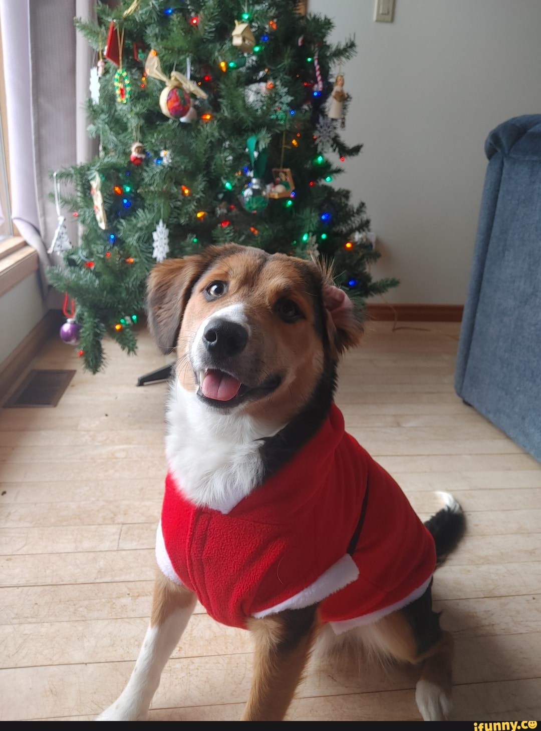 Nibblers memes. Best Collection of funny Nibblers pictures on iFunny