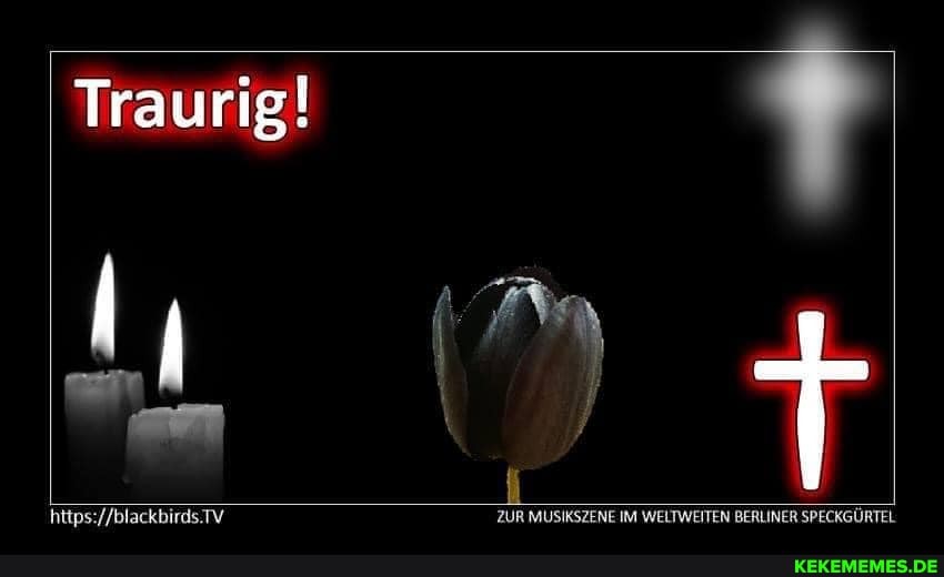 Traurig!
ar
ZUR MUSIKSZENE IM WELTWEITEN BERLINER SPECKGÜRTEL