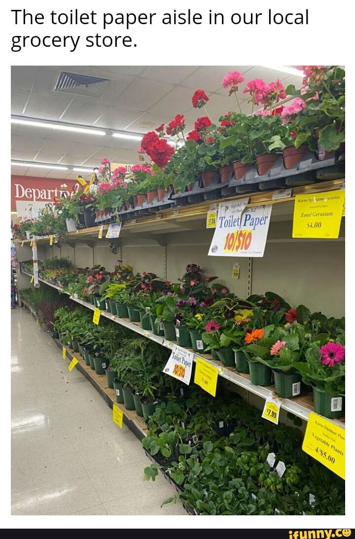 Review of literature on supermarket pdf image