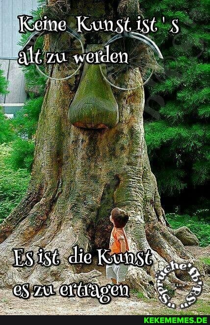 Keme
alt zu werden