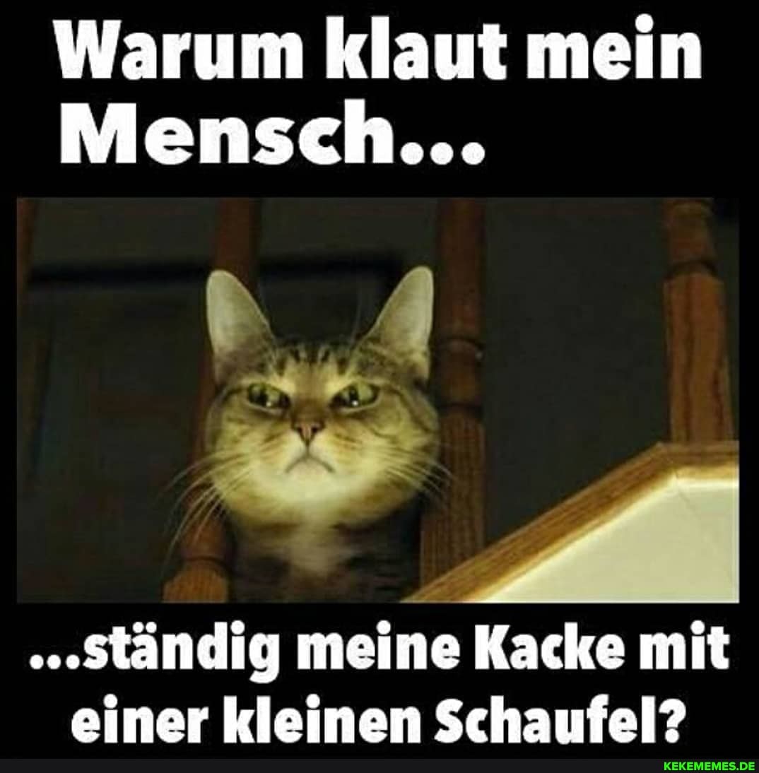 Warum klaut mein
Mensch...
'ständig meine Kacke mit einer kleinen Schaufel?