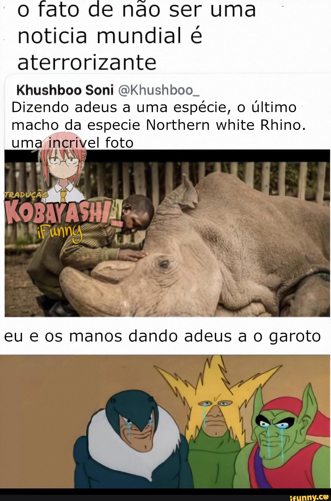 fato de não ser uma noticia mundial é
"aterrorizante
Khushboo Soni
"incrivel foto
Dizendo adeus a uma espécie, o último - macho da especie Northern white Rhino.
eu e os manos dando adeus a o garoto