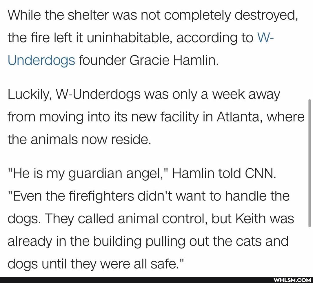 While the shelter was not completely destroyed, the fire left it uninhabitable, according to W-
Underdogs founder Gracie Hamlin.
Luckily, W-Underdogs was only a week away from moving into its new facility in Atlanta, where the animals now reside.
"He is my guardian angel," Hamlin told CNN.
"Even the firefighters didn't want to handle the dogs. They called animal control, but Keith was already in the building pulling out the cats and dogs until they were all safe."
