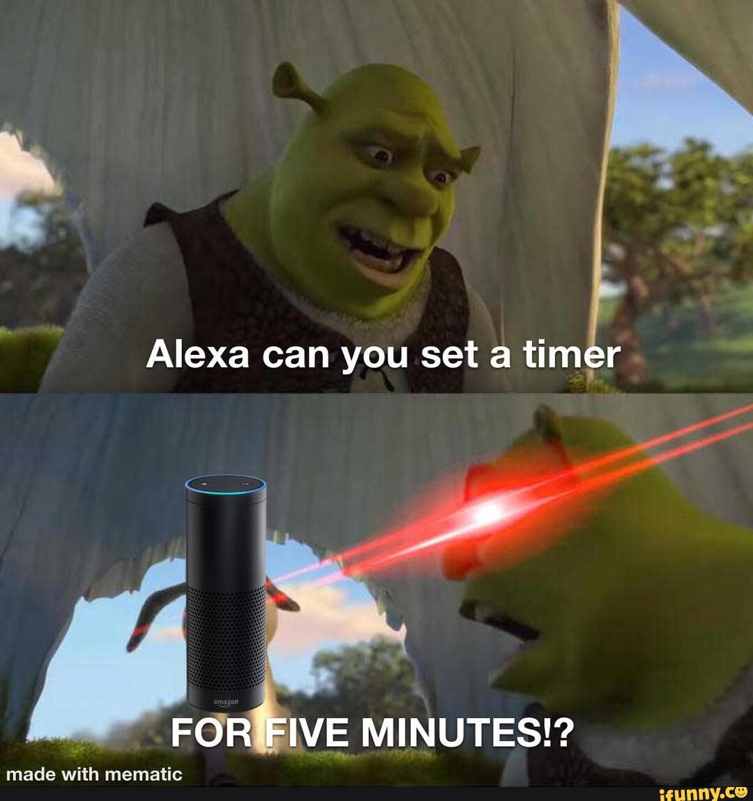 Alexa can you set a timer FOR FIVE MINUTES!? iFunny