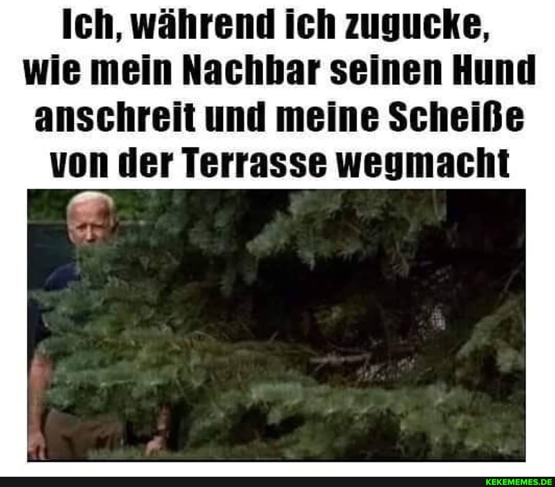 Ich, während ich zugucke, wie mein Nachbar seinen Hund anschreit und meine Scheiße von der Terrasse wegmacht