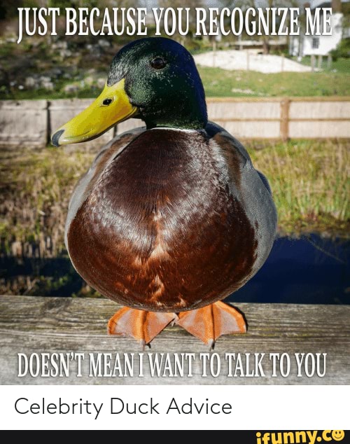 Celebrity Duck Advice - Just Because You Recognize Me Doesn't Mean Want 