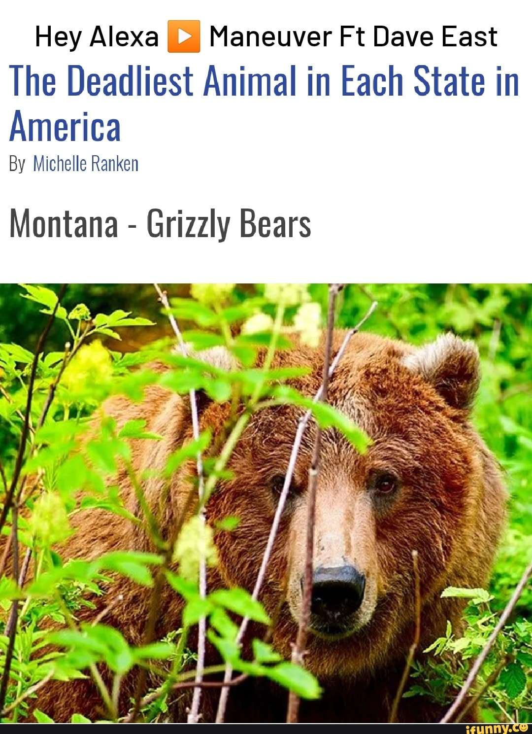 Hey Alexa Maneuver Ft Dave East The Deadliest Animal in Each State in