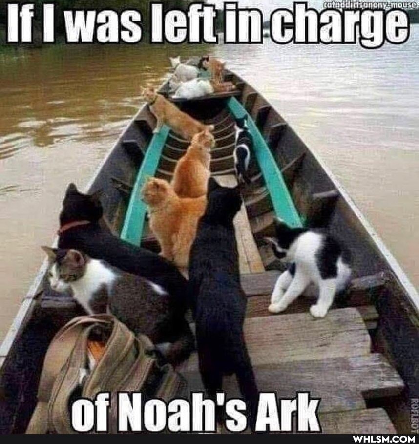 lil was le eeharge
ai Naae Ag