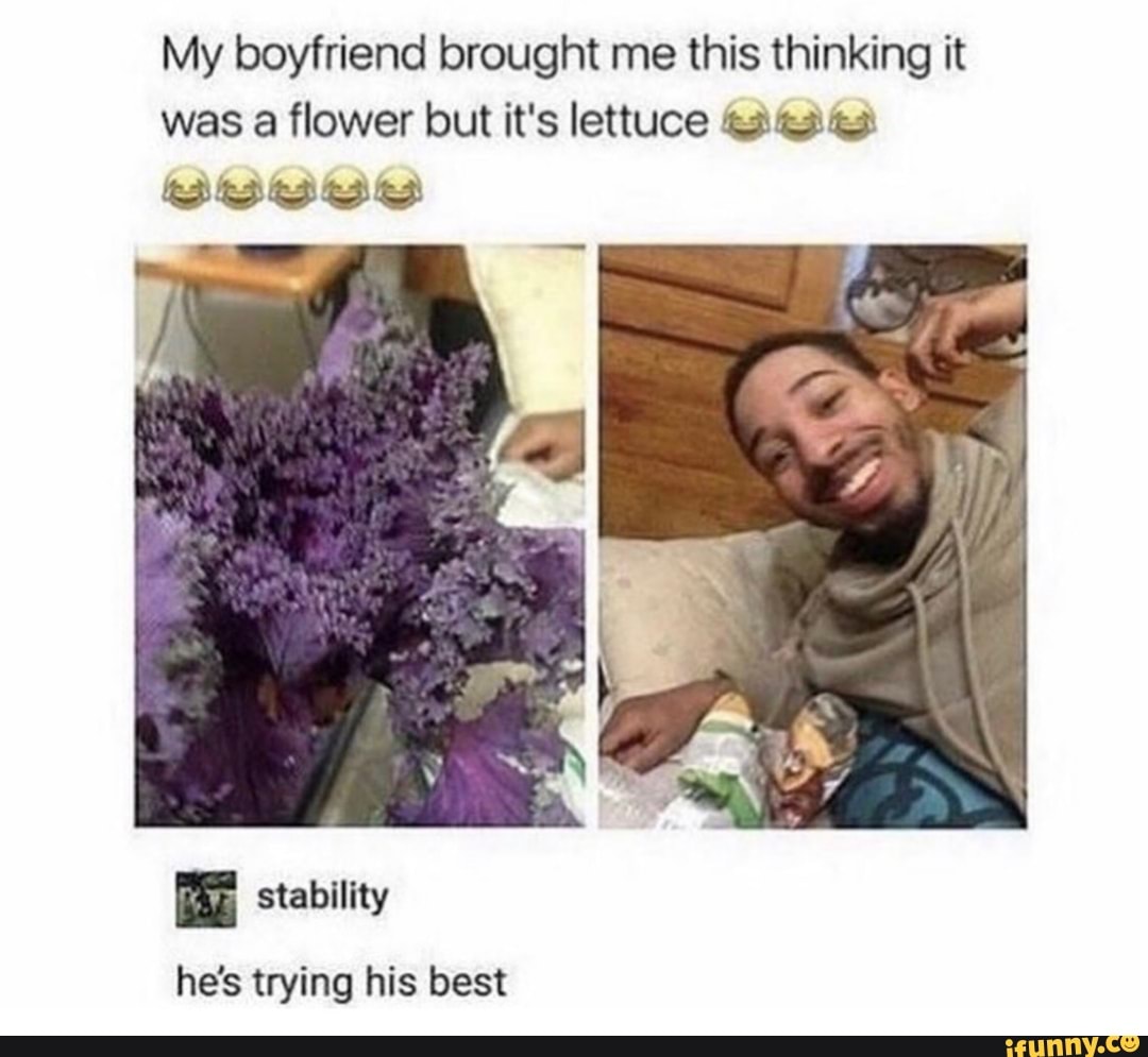 My boyfriend brought me this thinking it
was a flower but it's lettuce ¿24342
cee ere Sy
fhe
he's trying his best