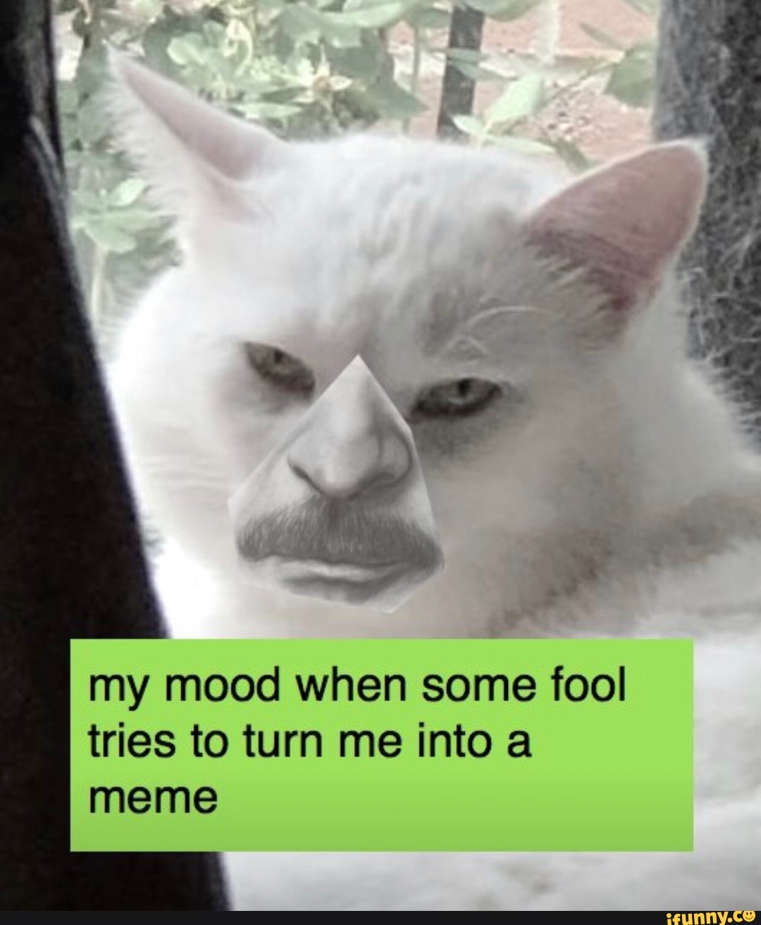 Who knew smudge_lord would look so good with a nose and mustache. my