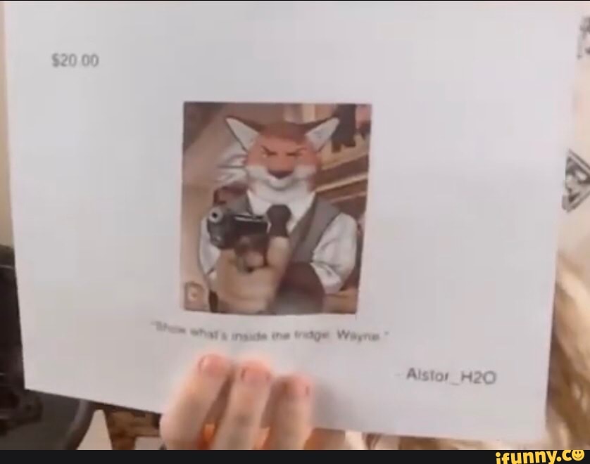 wayne, fridge, funny, funnymemes
