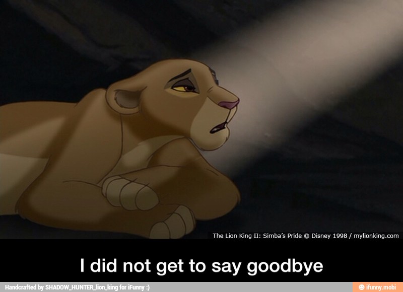 I did not get to say goodbye - I did not get to say goodbye