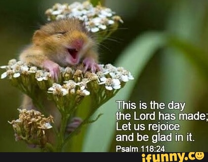 This is the day the Lord has made; Let us and be glad iin it. Psalm