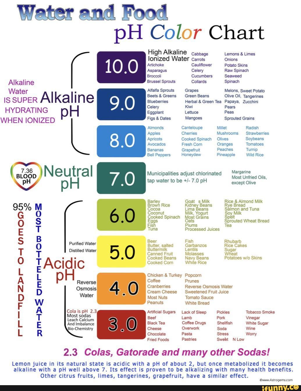 Water and Food pH Color Chart High Alkaline catbage Lemons & Limes ...