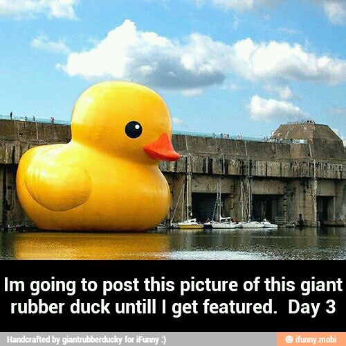 Im going to post this picture of this giant
rubber duck untill I get featured. Day 3 - Im going to post this picture of this giant rubber duck untill I get featured. Day 3