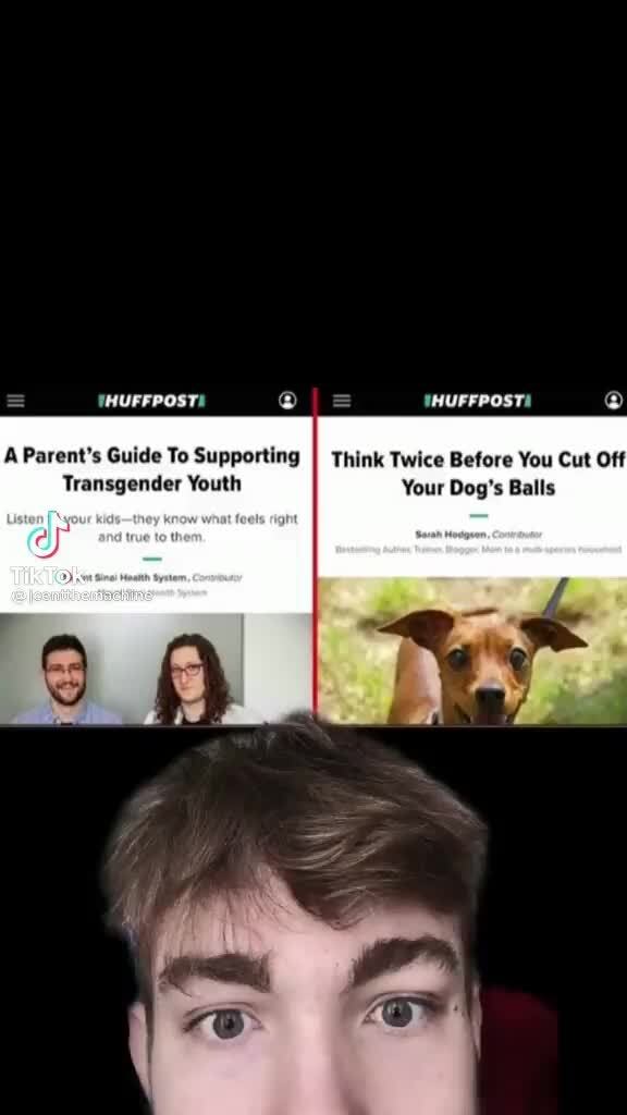 How Much Is It To Cut A Dogs Balls Off