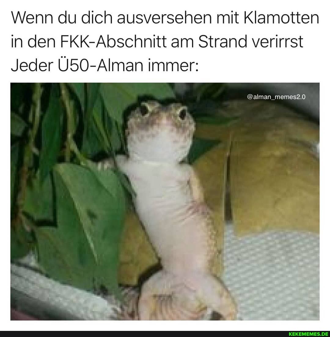 Wenn du dich ausversehen mit Klamotten in den FKK-Abschnitt am Strand verirrst
Jeder Ü50-Alman immer:
@alman_memes2.0
