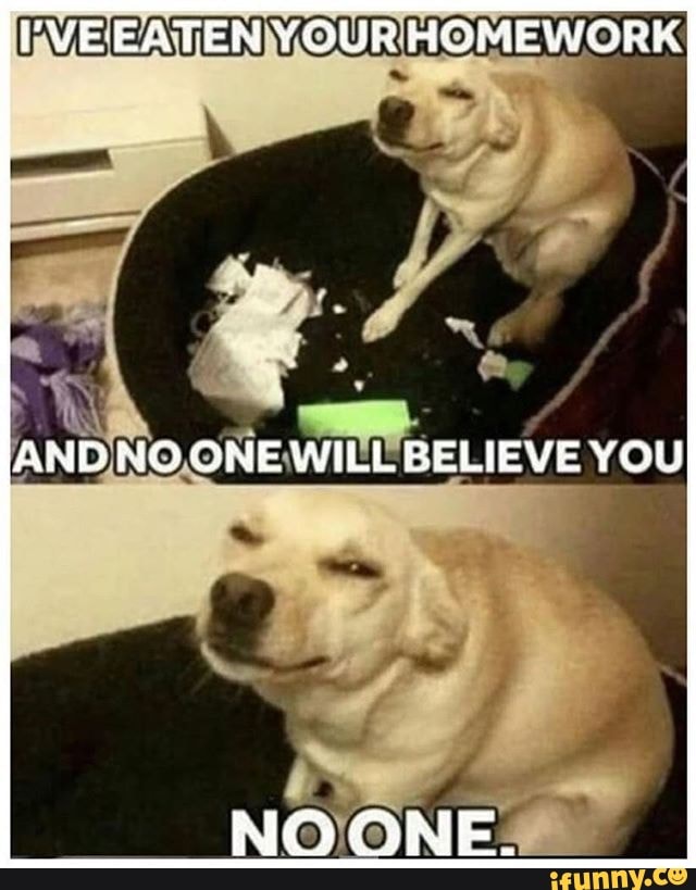 'VEEATEN YOUR HOMEWORK
AND ONE WILL BELIEVE YOU