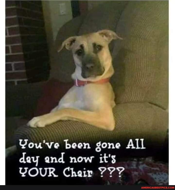 You've been gone All day and now it's
YOUR Chair YYY