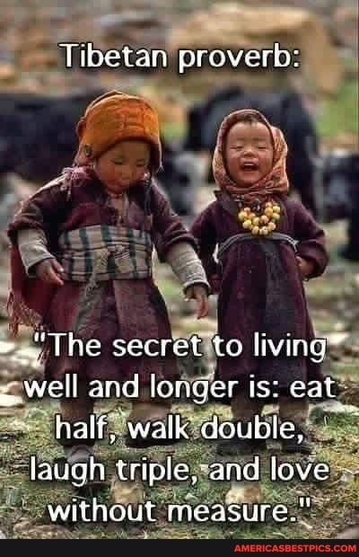 Tibetan proverb:
The secret to livin well and longer ts: cat half, walk double, laugh triple, and fove without measure."