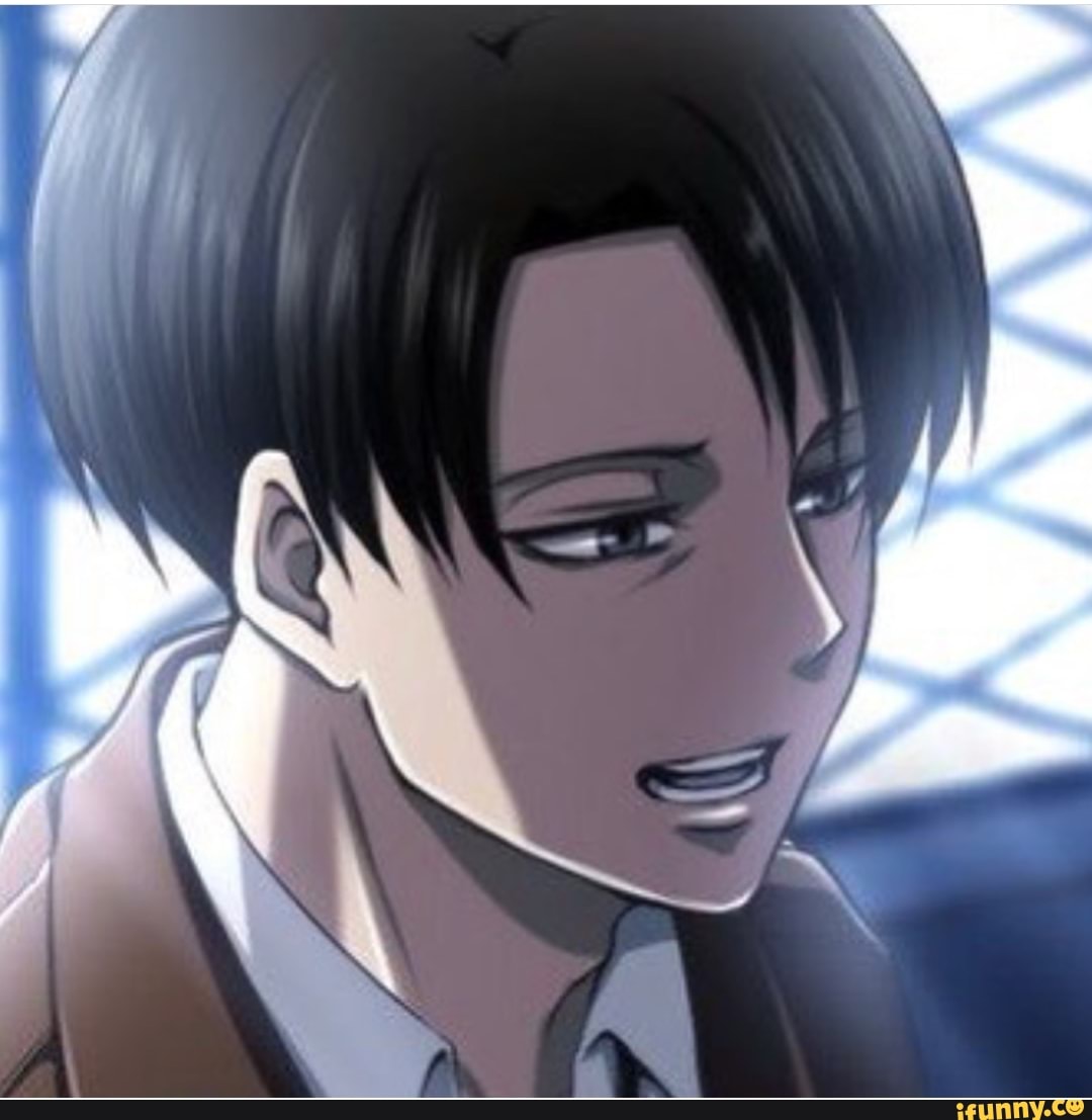 attack_on_titan, leviackerman