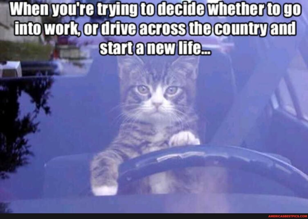 When you're trying to decitie whether to go into work, Or drive across the -country and
Start anew life...
