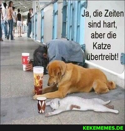 Ja, die Zeiten sind hart, aber die
Katze übertreibt!
