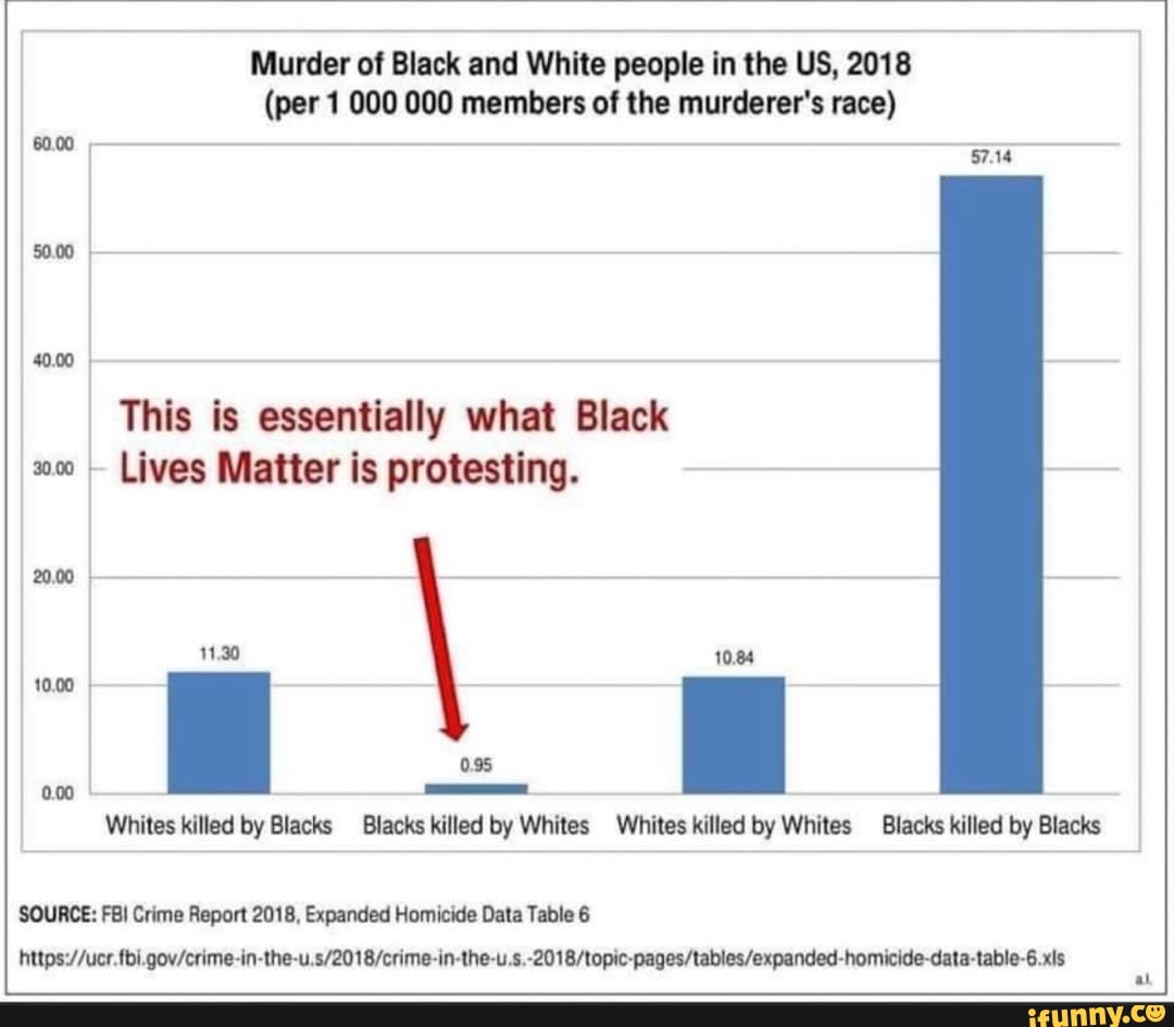 (per 1 000 000 members of the murderer's race)
60.00
This is essentially what Black
Lives Matter is protesting. 8
10.00 I
Whites killed by Blacks Blacks killed by Whites Whites killed by Whites Blacks killed by Blacks
SOURCE: FBI Crime Report 2018, Expanded Homicide Data Table 6