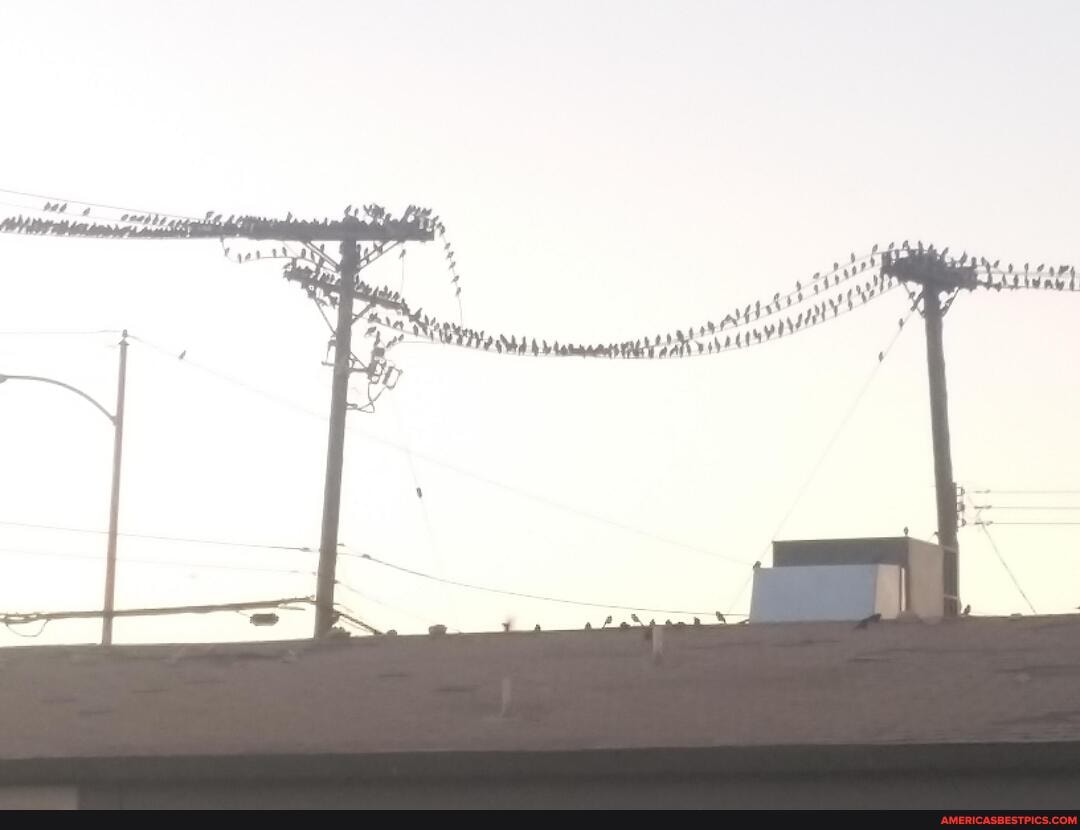 saw, morning, walk