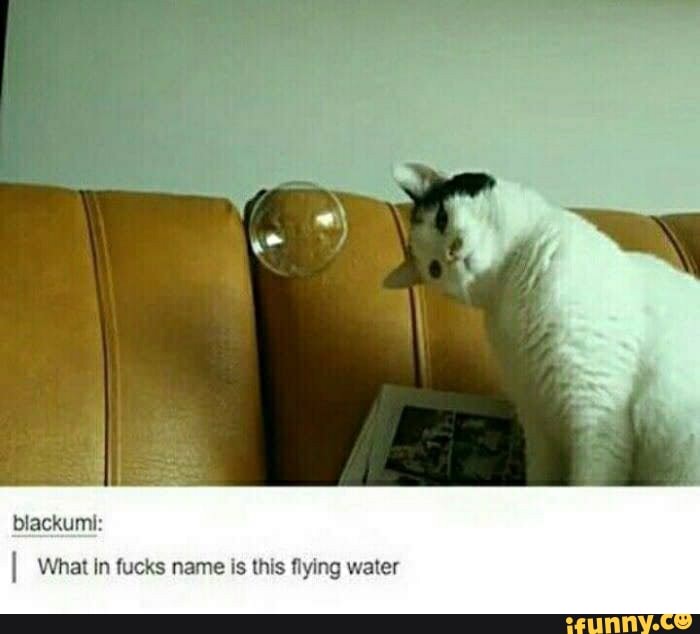 blackumi:
I What In fucks name is this flying water
