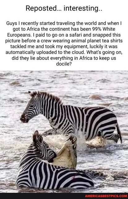 Safari memes. Best Collection of funny Safari pictures on America's best  pics and videos