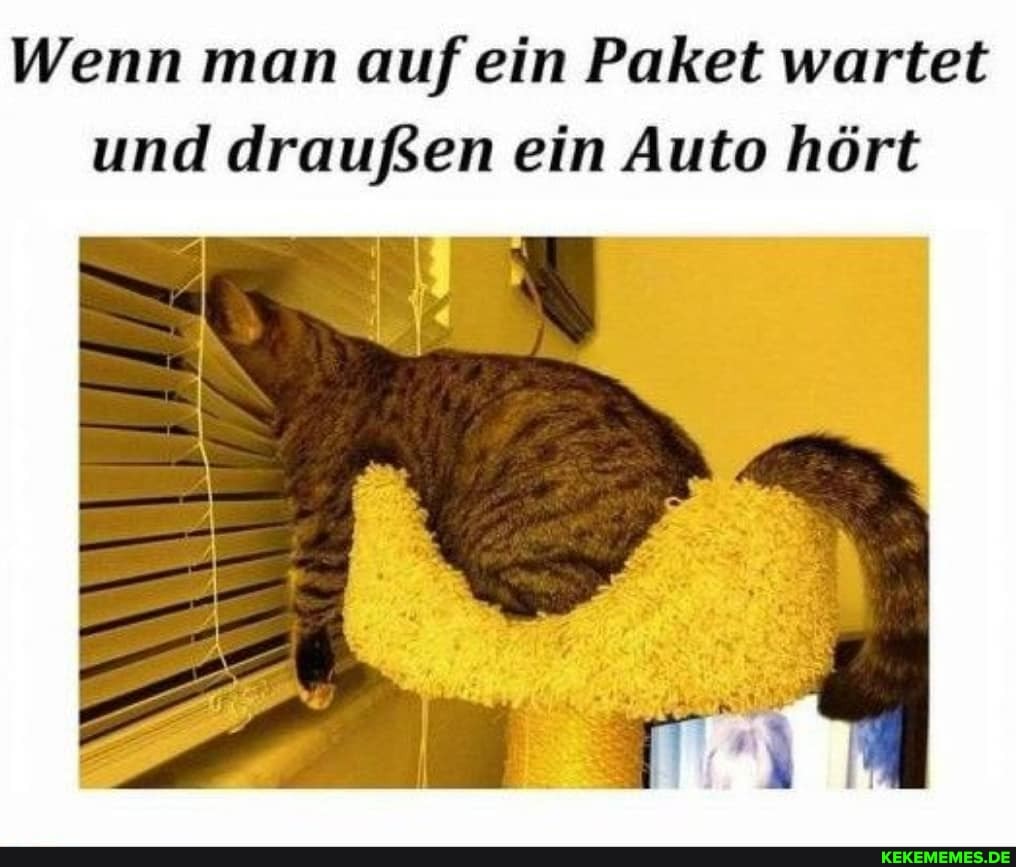 Wenn man auf ein Paket wartet und draußen ein Auto hört