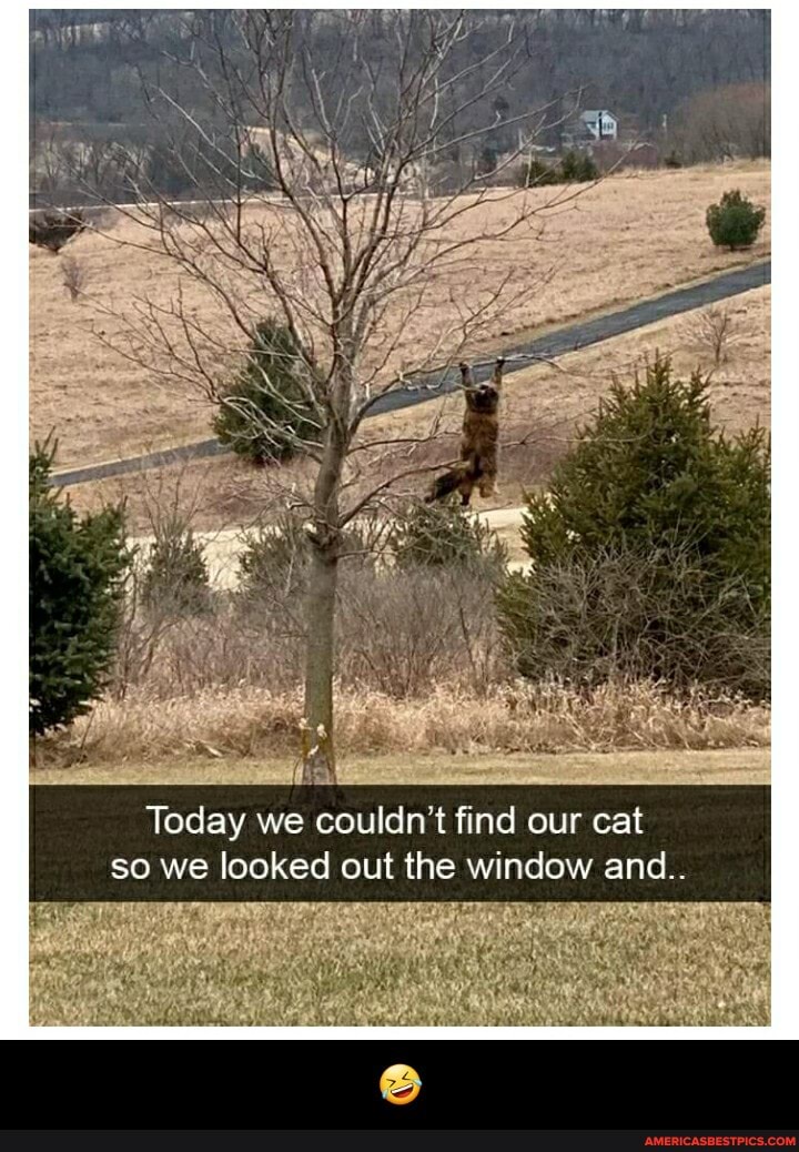 Today we couldn't find our cat so we looked out the wi and..
Ls - 🤣