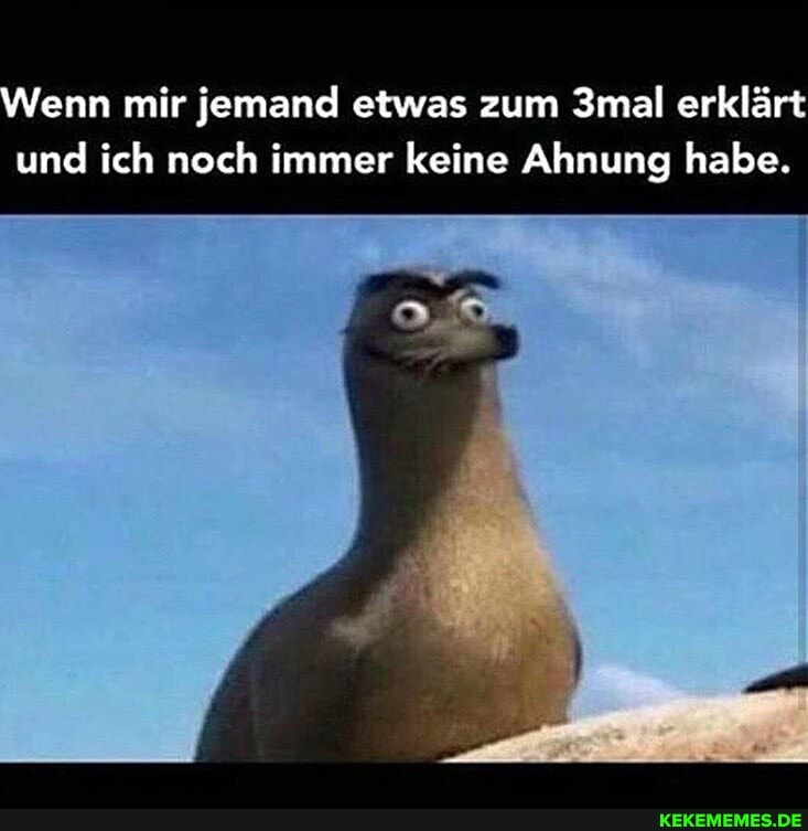 Wenn mir jemand etwas zum 3mal erklärt und ich noch immer keine Ahnung habe.