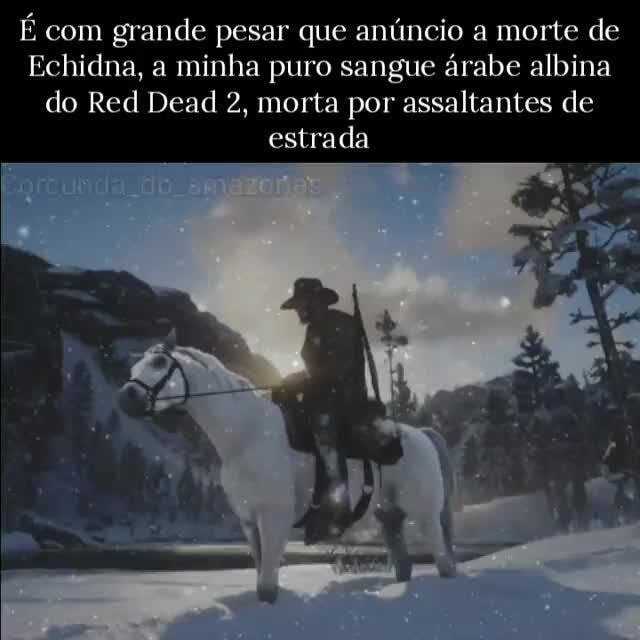 Como CONSEGUI o CAVALO PURO SANGUE ÁRABE MAIS LINDO DO RED DEAD REDEMP