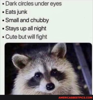 Dark circles under eyes
Eats junk
" Small and chubby
Stays up all night
Cute but will fight