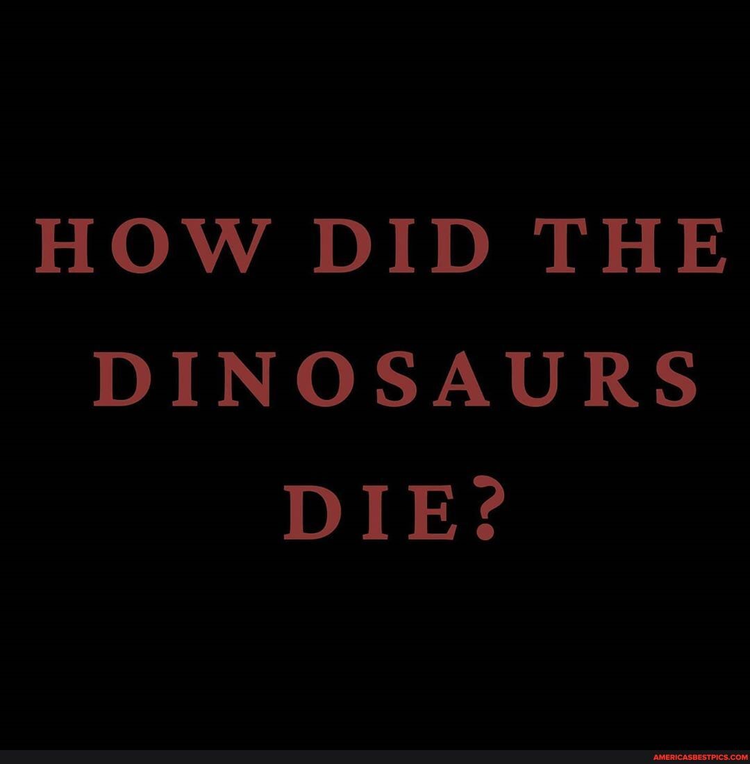 HOW DID THE DINOSAURS DIE America s Best Pics And Videos How did the dinosaurs die america s best pics and videos
