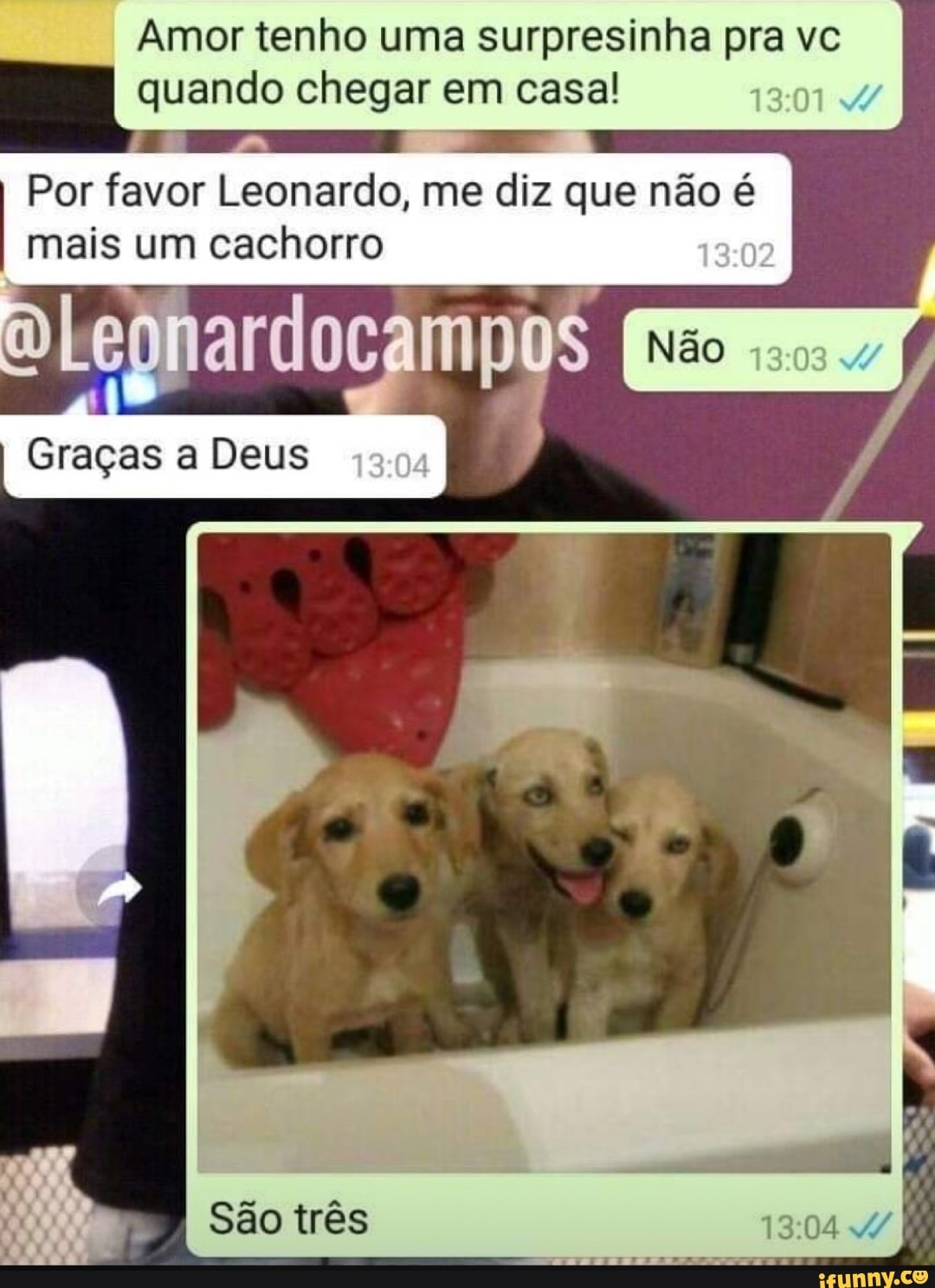 Amor tenho uma surpresinha pra vc
I quando chegar em casa!
Por favor Leonardo, me diz que não é mais um cachorro
AÍ
I Graças a Deus
São três