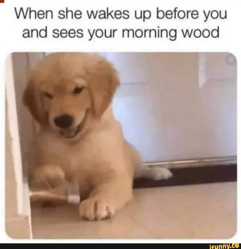 Morning wood meme